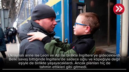 Hayalleri suya düştü, evsiz kaldı! Ukraynalı annenin çaresizliği ülkeyi karıştırdı