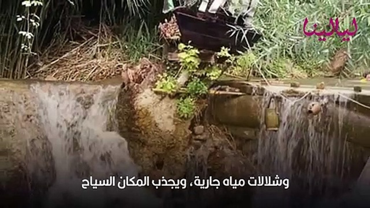 أفضل 6 مواقع في الأردن لتزورها في الربيع