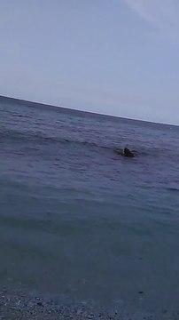 Pantai Batu Putih Alor Nusa Tenggara Timur #Alor