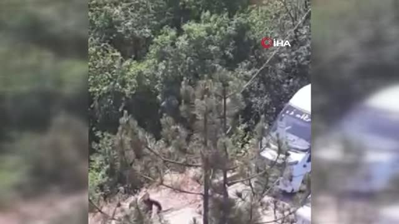 Kaza yapan kadın sinir krizi geçirdi... Sürücünün yanındaki kadın, diğer sürücüye böyle saldırdı