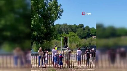 'Uçan adam' Zapata, 15 metre yükseklikten göle çakıldı