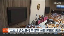 '코로나 손실보상 추경안' 국회 본회의 통과