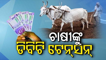 Special Story | Odisha govt implements DBT system for paddy seeds selling