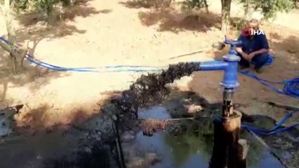 Kentte büyük heyecan! Zeytin bahçesindeki sondajla ortaya çıktı