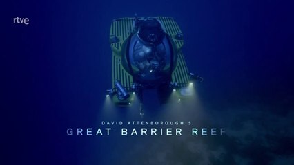 La gran barrera de coral 1/3: Los constructores  [Documental HD]