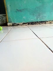 Ternyata ada yang punya