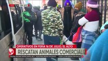 Pofoma rescata perros, gatos de la Feria 16 de Julio; las mascotas estaban en cajas y bolsas