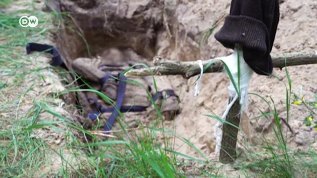 Кто и как расследует военные преступления в Украине (29.05.2022)