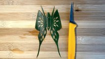 Artist Carves Beautiful Butterfly Out of Bamboo leaf