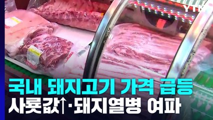 사룟값 상승에 돼지 열병까지...'금값'된 삼겹살 또 오르나? / YTN