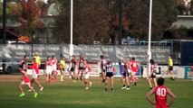 Andrew Hooper's three-goal performance for Ballarat | The Courier | May 30, 2022