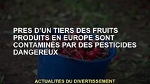 Près d'un tiers des fruits produits en Europe sont contaminés par des pesticides dangereux
