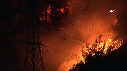 Alanya’da orman yangınında 3 dekar alan zarar gördü
