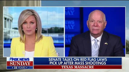 Sen. Cardin: Congress needs to do something about this #FoxNews