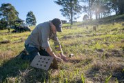 Tree planting with Great Eastern Ranges | 30-5-22 | Bega District News