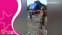 Tak Ada Akses Jalan, Ibu Hamil Ditandu 18 Kilometer di Luwu Utara Sulawesi Selatan