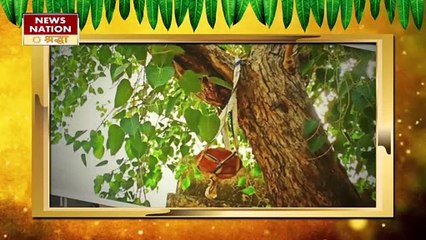 11 पीपल के पत्तों का ये अचूक उपाय, शनि की साढ़े साती और जीवन की बर्बादी पर रोक लगाए