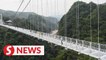 World's longest glass bridge opens in Vietnam