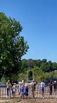 Après un spectaculaire accident sur son flyboard lors d'une démonstration sur le lac de Biscarrosse, dans les Landes, Franky Zapata dit «aller bien» - Regardez