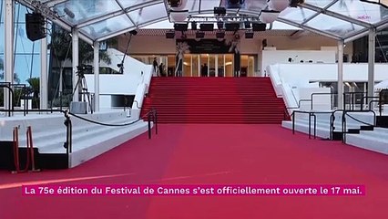 Cannes 2022 : Isabelle Adjani, malade, privée de montée des marches