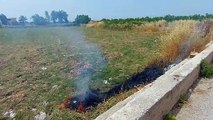 Bisceglie: troppi incendi nelle campagne in via Terlizzi (zona via Ruvo)