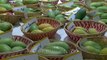 Mangos aplenty at Mango Festival, Dilli haat Pitampura