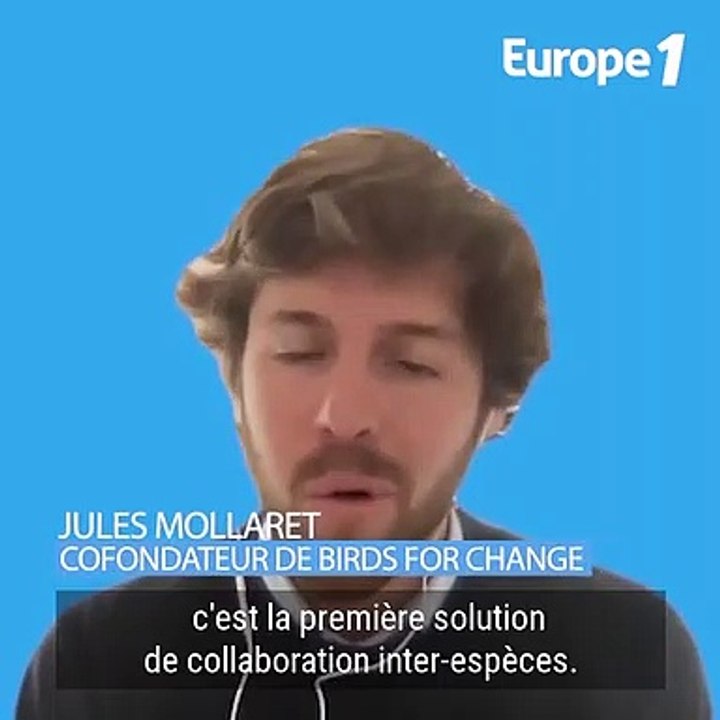 Trophées de l'avenir - COLLECTIVITES LOCALES - BIRDS FOR CHANGE