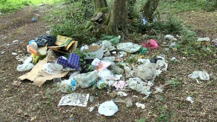 Belgrad Ormanı’nı bu hale getirdiler