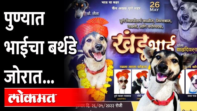 खंडू भाईचा वाढदिवस : सावित्रीबाई फुले पुणे विद्यापीठातील विद्यार्थ्यांचा लाडका कुत्रा | Khandu Bhai