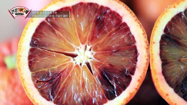 체지방 감소에 도움을 주는 전설의 열매 『모로실』 TV CHOSUN 220530 방송