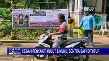 195 Ekor Sapi Terinfeksi PMK, Sentra Ternak Sapi Perah di Kabupaten Kuningan Ditutup!