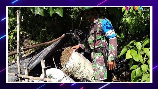 Penemuan 2 Karung Ganja Kering di Kaki Gunung Seulawah