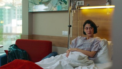 Choque - Carpisma - Capítulo 59 (Audio Español) | Crash