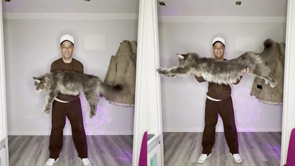'Santander guy shows off his HUMONGOUS Maine Coon cat '