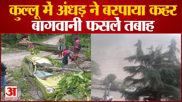 तूफान से नाशपाती, प्लम व सेब के फल गिरे,Thunderstorm Kullu,Car Damaged Due To Falling Trees Himachal