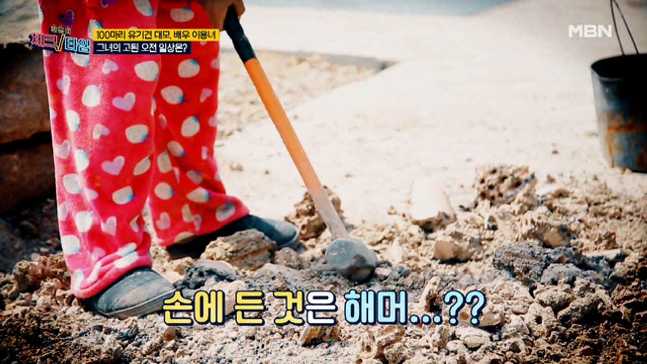 강아지들의 행복이 느껴지는 이용녀의 러브 하우스 공개! 그녀가 아침부터 해머를 들어야...