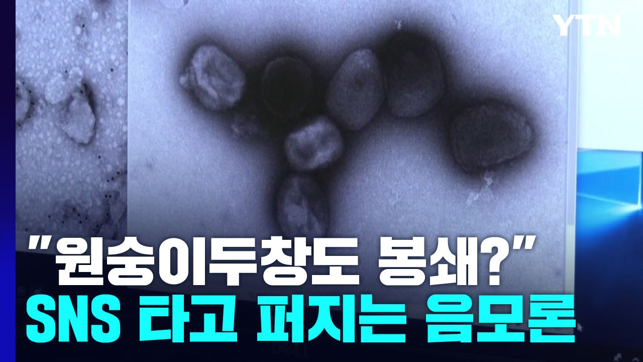 "원숭이두창도 봉쇄?"...SNS 타고 퍼지는 음모론 / YTN