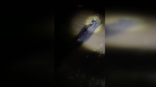 Kaçak avlanılan 1,5 ton inci kefali bulundu