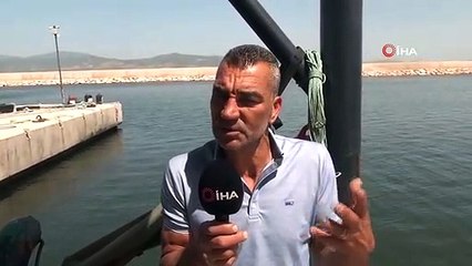 Marmara' dan sevindiren haber