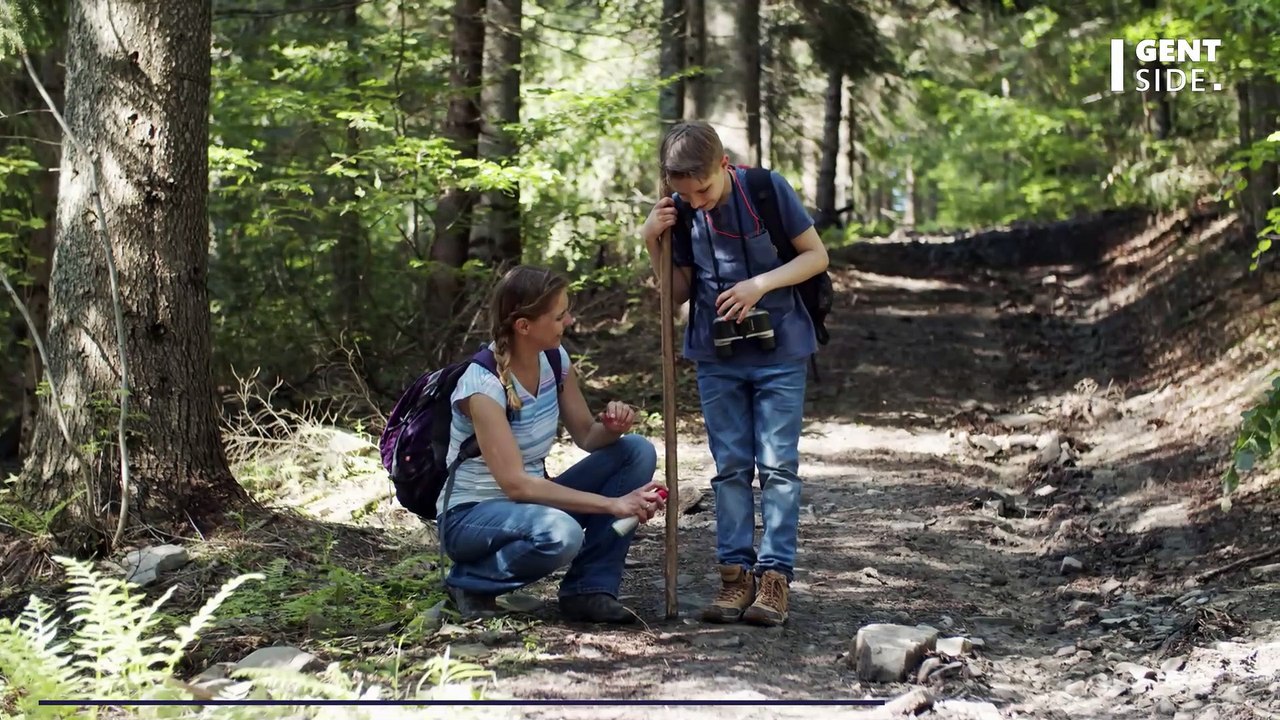 Fachleute warnen: Globale Erwärmung könnte eine 'Zeckenplage' mit sich bringen