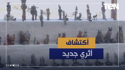150 خبيئة برونزية و250 تابوتا.. اكتشاف أثري جديد بـ سقارة يبهر الجميع