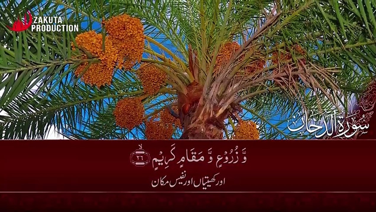 SURAH AD-DUHAN WITH BEAUTIFUL URDU TRANSLATION INE HEART TOUCHING VOICE-QURAN E PAK COMPLETE SURAH