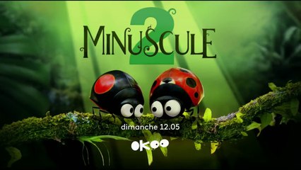 Minuscule 2 : Les Mandibules du bout du monde (i) - Bande annonce