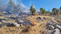 Bodrum'da otluk ve makilik alanda yangın