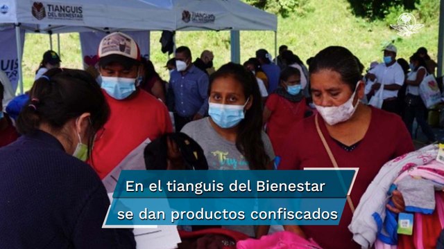 Gobierno analiza donar terrenos del crimen organizado a comunidades indígenas: AMLO