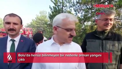 Bolu'da orman yangını