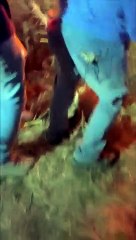 Stromboli, spegnimento incendio abitanti