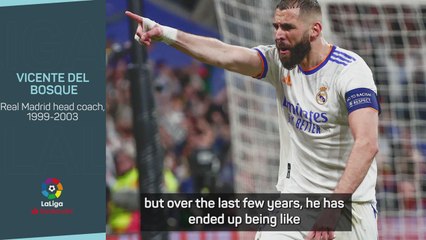 Benzema plays with 'extraordinary clarity' - Del Bosque