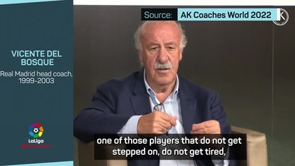 Benzema plays with 'extraordinary clarity' - Del Bosque