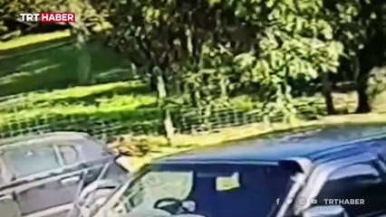 Kanguru saldırısına uğrayan adam kamerada